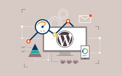 Enhancing WordPress Websites with Custom Plugins and Themes